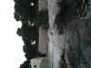 9A/DL3NCI Image